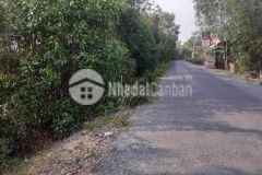 Bán 2công vườn ấp 3,tam hiệp,châu thành,tiền giang