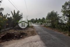 6công vườn ấp 2,tam hiệp,châu thành,tiền giang