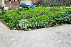 Chỉ 1,021 tỷ, có ngay 60m đất ở tại ngô xuyên, như quỳnh. lh 0835459289