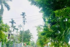 Chính chủ cần tiền bán nhanh lô đất ở đà nẵng giá chỉ 1tyxxtr