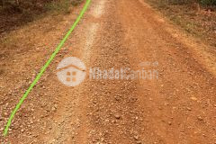 Đất f0 cư mgar full hồng,mt 7m,đất đỏ bazan sẵn cây trái, ngay kdc, chỉ 119 tr