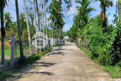 Đất điện tiến betong 4m cách dt605 chưa tới 5p giá không thể rẻ hơn