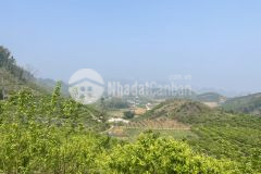 Cắt lỗ mảnh đất mộc châu tông diện tích 5758.7m2, vị trí đắc địa