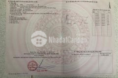 Hót cần tiền cắt lỗ lô đất ninh hòa bắc vân phong