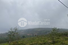 Ban nha sô riêng xây dưng đương nhưa 10m xuân trương đa lat