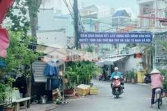 Hiếm... hot...hot và cực hot ace ơi là con đường huyết mạch quận 7.. nguyện thị thập