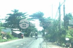 195m2 mặt tiền tỉnh lộ 867, trước khu dân cư huyện tân phước,tiền giang.