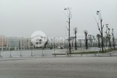 Bán 2 lô liền kề mặt tiền 9m ngay khu khách sạn sun sầm sơn