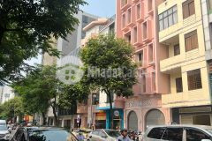 Cho thuê nhà 2 tầng mặt tiền đường trần phú