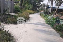 Bán 1000m2 vườn ấp 3,tam hiệp,châu thành,tiền giang.