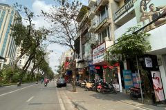 Bán nhà mặt phố giảng võ 29 tỷ 116m2 mặt tiền 8.7m căn góc kinh doanh hiếm quận ba đình