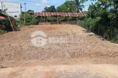 Bán lô đất tỉnh lộ 2 xã hòa khánh gần trường học 12x25 tc 100