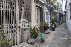 Hàng mới gò vấp lại về thay áo mới cho em nó tăng giá nhẹ