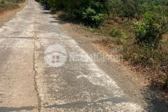 Bán đất sào giá đầu tư buôn bông eakao chỉ với 1,1 tỷ