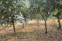 Chỉ 360tr có ngay lô đất hơn 600m full thổ cư, mặt tiền 15m, lưng tựa núi đá