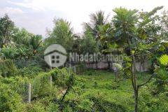 Cần bán nền 150m2 thổ cư toàn bộ, gần ub và th sơn đông, tp bến tre xe hơi tới đất