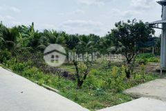 Đất vườn giá rẻ xã mỹ phong, tp. mỹ tho