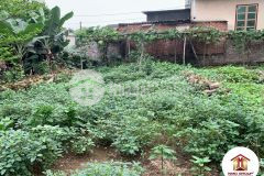 Bán gấp 62m2 cổ dương tiên dương đông anh phân lô giá 4xtrm2, lh 0886119248.