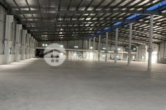 Chuyển nhượng 100 cp cty và ts tại kcn điềm thụy. thái nguyên