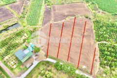 Đất tx buôn hồ, 550m2, tc 60m2, mt bê tông, gần ql 29, kdc hiện hữu,sổ sẵn chỉ 240 tr