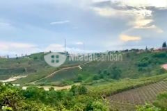 Bán đất đẹp ngay cầu đất, vuông vắn, giá tốt nhất