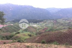 Bán gấp mảnh đất nền mộc châu tổng diện tích 98.885m2 cắt lỗ sâu