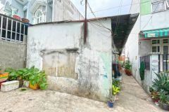 Chính chủ bán dãy trọ mặt tiền hẻm 3m đường chuyên dùng 9, p.phũ mỹ, quận 7