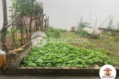 Bán đất 55m2 tổ 28 thị trấn đông anh hà nội tiện ích ngập tràn nhỉnh 1 tỷ lh 0886736116.