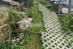 Ban đât tăng nha gô xinh xăn đương ô tô xuân trương đa lat