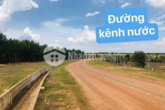 Bán 6000m2 đường điện gió hoà thắng cách biển 5km đường nhựa giá 150km2.lh 0919 626 750