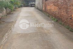 Tài chính 600tr sở hữu ngay lô đất dt 154m2 tại thanh mỹ sơn tây, cách đường tl87 chỉ 1km