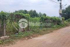 Bán đất trồng cây lâu năm 1000m2 thạnh xuân 52 quận 12 giá 6 tỷ