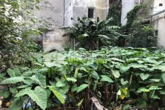 2,99 tỷ có ngay 60m² đất văn trì phân lô, ô tô tránh, kd v.i.p