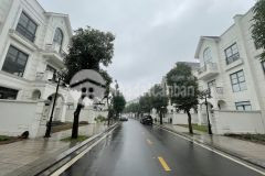 Bán biệt thự song lập hải âu 3 dự án vinhomes ocean park 0944523668 rẻ nhất thị trường