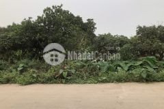 Gấp rất gấppp 51m² cầu diễn phân lô, ô tô tránh, kinh doanh 5,1 tỷ