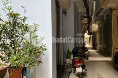 Nhà phố cát linh cực xịn xò kinh doanh thì hết ý