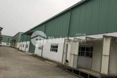 Cho thuê kho, xưởng tại ccn tân quang. văn lâm. hưng yên.