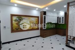 Lô góc 2 thoáng ô tô đỗ cửa hoàng mai 35m2x5t chỉ 4 tỷ