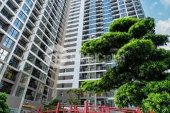 Ký mới cđt căn 1pn phân khu the zenpark cao cấp, view đẹp giá tốt chưa từng có tại vinhomes ocp