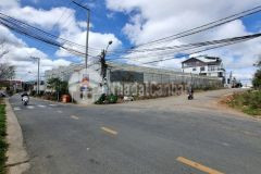 Ban đât măt tiên đương ly nam đê p8 đa lat