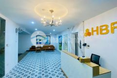 Giảm kịch sàn, lâm hạ, bồ đề, 165m2, mt10m, thang máy, phân lô, vỉa hè, kinh doanh, lô góc, ô tô