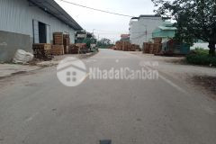 Lô góc đấu giá cát lư, 2 mặt tiền, 101m, sát bên kcn phố nối a, giá chỉ 3.x tỷ