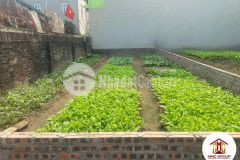 Bán đất 100m2 thôn đoài nam đồng đông anh đường ô tô tránh tiện ích đầy đủ nhỉnh 3,5 tỷ.