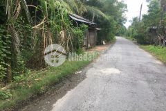 4công mặt tiền huyện lộ 36,bình trưng,châu thành,tiền giang