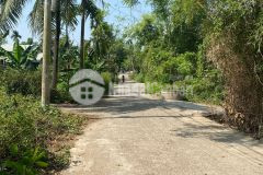 Lô đất lớn đường 5m thích hợp xây nhà vườn tại hòa khương giá chỉ vài trăm