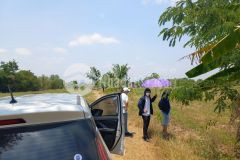 Bán đất vườn hồng liêm gần ql1a, safari rạng đông