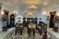 Bán nhà đào tấn 74m x 10 tầng thang máy 23 căn hộ cho thuê