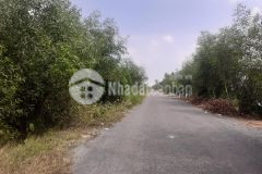 1 hecta mặt tiền huyện lộ 42,thị trấn mỹ phước,tân phước,tiền giang