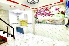 Bán nhà mt đường nhựa 15m thông tân hương tân phú, chỉ có 2.9 tỷ