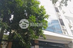 Tòavăn phòngkinh doanhở, đường 3 ô tô tránh, phố mậu lương, hà đông, 65m7 tầng, 11 tỷ